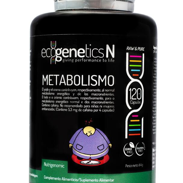 METABOLISMO - obesidade, diabetes, síndrome metabólica