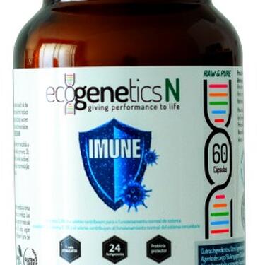 IMUNE - Optimize o seu Sistema Imunitário - 60 Cáps.